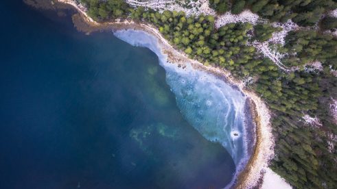 drone view of beach and forest
